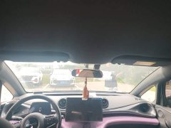 BYD Dolphin Glory Edition 420km Freedom Version - ფოტო 8