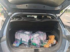 BYD Dolphin Glory Edition 420km Freedom Version - ფოტო 9