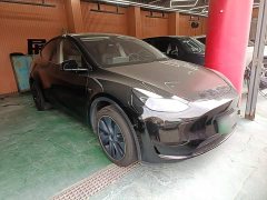Tesla Model Y Rear-Wheel Drive - ფოტო 3
