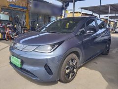 BYD Dolphin Smart Drive 410km Fashion Edition - ფოტო 1