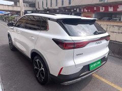 Dongfeng Haoji Mach Twin-Engine 1.5T MHD Dream Edition - ფოტო 4
