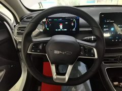 BYD Destroyer 05 Glory Edition DM-i 55KM Luxury - ფოტო 10