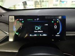 BYD Destroyer 05 Glory Edition DM-i 55KM Luxury - ფოტო 11
