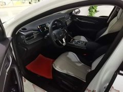 BYD Destroyer 05 Glory Edition DM-i 55KM Luxury - ფოტო 14