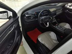 BYD Destroyer 05 Glory Edition DM-i 55KM Luxury - ფოტო 15