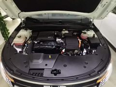 BYD Destroyer 05 Glory Edition DM-i 55KM Luxury - ფოტო 19