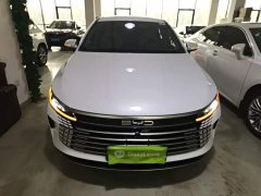 BYD Destroyer 05 Glory Edition DM-i 55KM Luxury - ფოტო 2