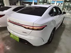 BYD Destroyer 05 Glory Edition DM-i 55KM Luxury - ფოტო 6