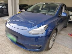 Tesla Model Y Long Range All-Wheel Drive 3D7 - ფოტო 1