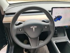 Tesla Model Y Long Range All-Wheel Drive 3D7 - ფოტო 10