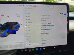 Tesla Model Y Long Range All-Wheel Drive 3D7 - ფოტო 11