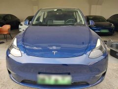 Tesla Model Y Long Range All-Wheel Drive 3D7 - ფოტო 2
