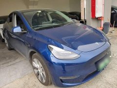 Tesla Model Y Long Range All-Wheel Drive 3D7 - ფოტო 3