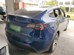 Tesla Model Y Long Range All-Wheel Drive 3D7 - ფოტო 6