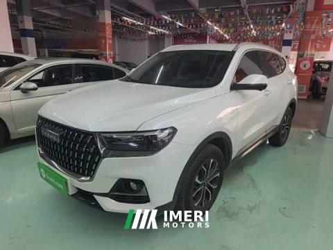 2023 Haval H6 National Trend Edition 1.5T Automatic Urban Version - ავტომობილი ჩინეთიდან
