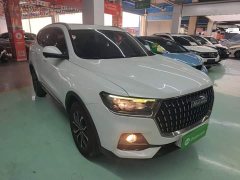 Haval H6 National Trend Edition 1.5T Automatic Urban Version - ფოტო 3