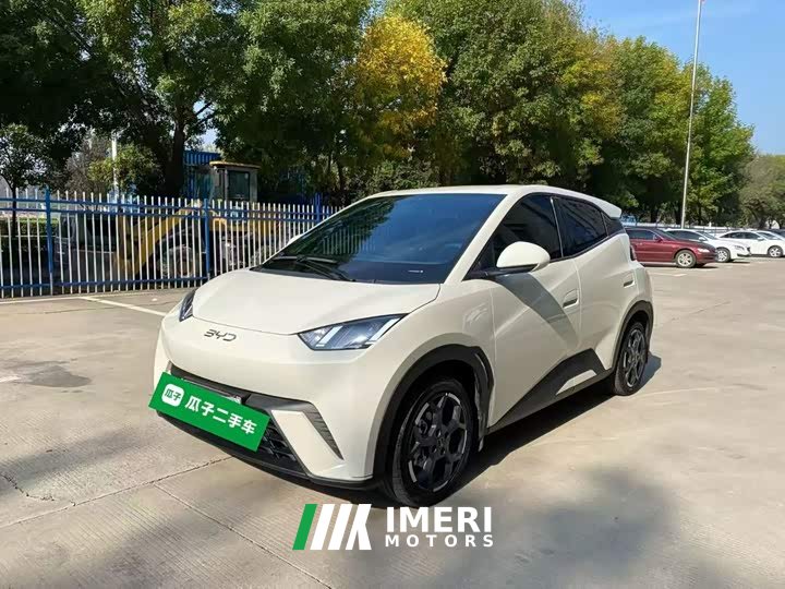 BYD Seagull 2025 305km Freedom Edition - ავტომობილი ჩინეთიდან