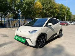 BYD Seagull 2025 305km Freedom Edition - ფოტო 1