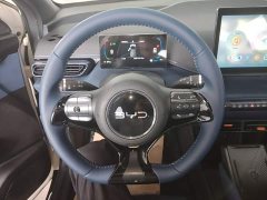 BYD Seagull 2025 305km Freedom Edition - ფოტო 10