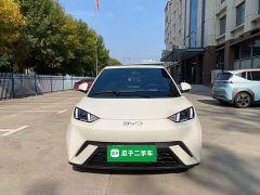 BYD Seagull 2025 305km Freedom Edition - ფოტო 2