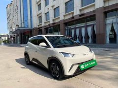 BYD Seagull 2025 305km Freedom Edition - ფოტო 3