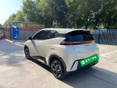 BYD Seagull 2025 305km Freedom Edition - ფოტო 4