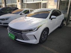 BYD Destroyer 05 Glory Edition DM-i 55KM Luxury - фото 1