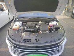BYD Destroyer 05 Glory Edition DM-i 55KM Luxury - фото 19