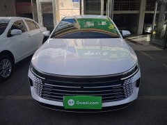 BYD Destroyer 05 Glory Edition DM-i 55KM Luxury - фото 2
