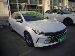 BYD Destroyer 05 Glory Edition DM-i 55KM Luxury - фото 3