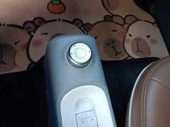 Wuling Hongguang MINIEV GAMEBOY 200km Fun Edition LFP Battery - ფოტო 13