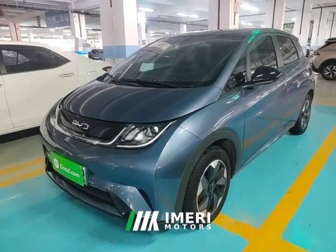2025 BYD Dolphin 420km Freedom Edition