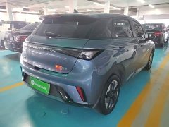 BYD Dolphin 420km Freedom Edition - ფოტო 6