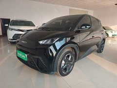 BYD Seagull 2023 Freedom Edition - ფოტო 1