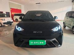 BYD Seagull 2023 Freedom Edition - ფოტო 2