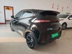 BYD Seagull 2023 Freedom Edition - ფოტო 4