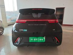 BYD Seagull 2023 Freedom Edition - ფოტო 5