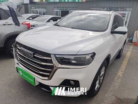 2022 Haval H6 2021 National Trend 1.5T Automatic Champion Edition - ავტომობილი ჩინეთიდან