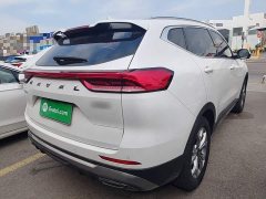 Haval H6 2021 National Trend 1.5T Automatic Champion Edition - ფოტო 6