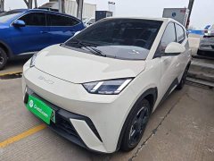 BYD Seagull Freedom Edition - ფოტო 1