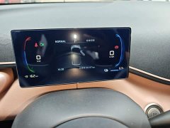 BYD Seagull Freedom Edition - ფოტო 11