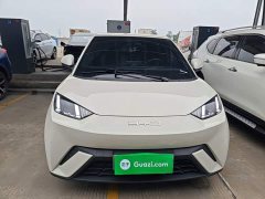BYD Seagull Freedom Edition - ფოტო 2