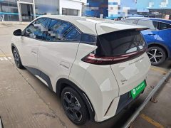 BYD Seagull Freedom Edition - ფოტო 4