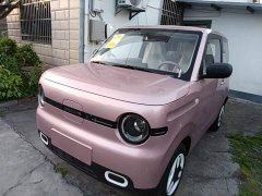 Geely Panda Mini 210km Vitality Edition - ფოტო 1
