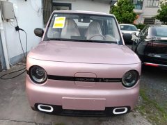 Geely Panda Mini 210km Vitality Edition - ფოტო 2