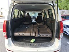 Dongfeng Delica PLUS 2.0L Manual Luxury 7-Seater - ფოტო 18