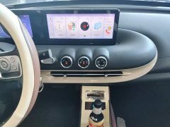 Wuling Binguo 333km Quick Enjoy Edition - ფოტო 12