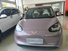 Wuling Binguo 333km Quick Enjoy Edition - ფოტო 2