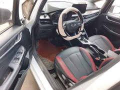 Geely Emgrand X3 2021 PRO 1.5L CVT Luxury - ფოტო 15