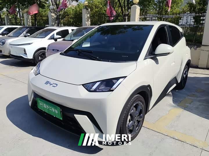 BYD Seagull Glory Edition 305km Freedom Version - ავტომობილი ჩინეთიდან